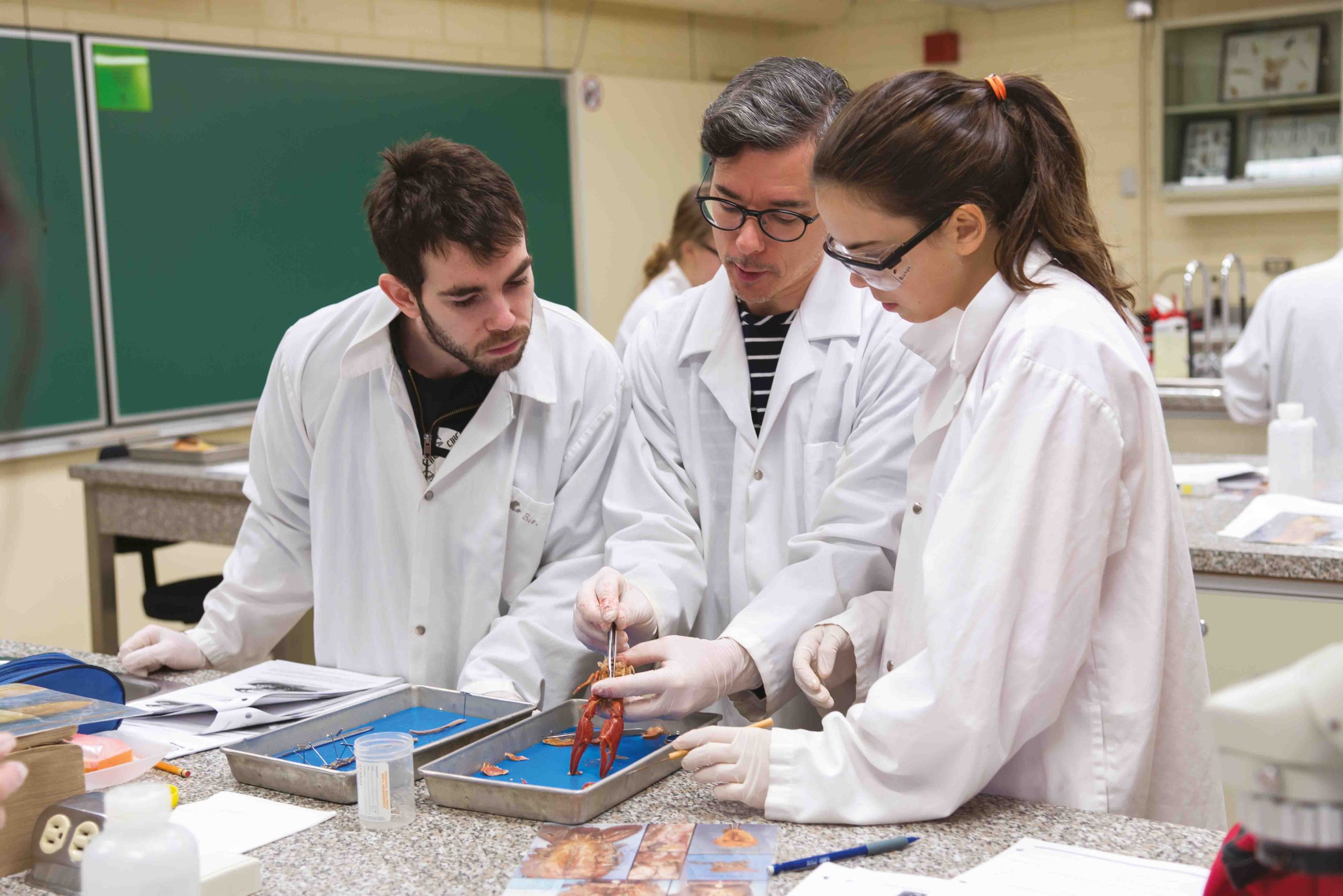 SciencesNature_et_SciencesHumaines_DoubleDEC