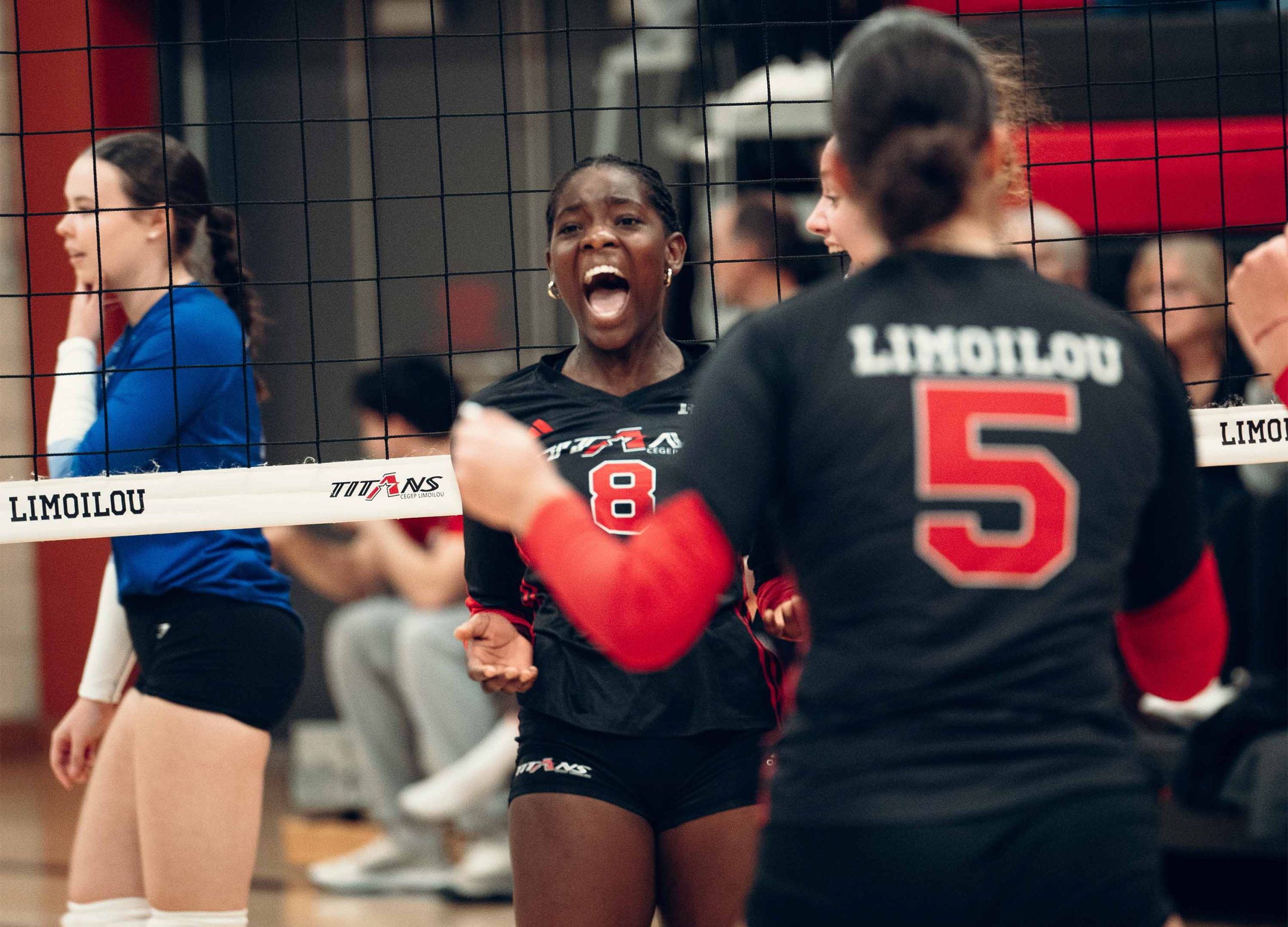 volleyball_feminin_division2_2