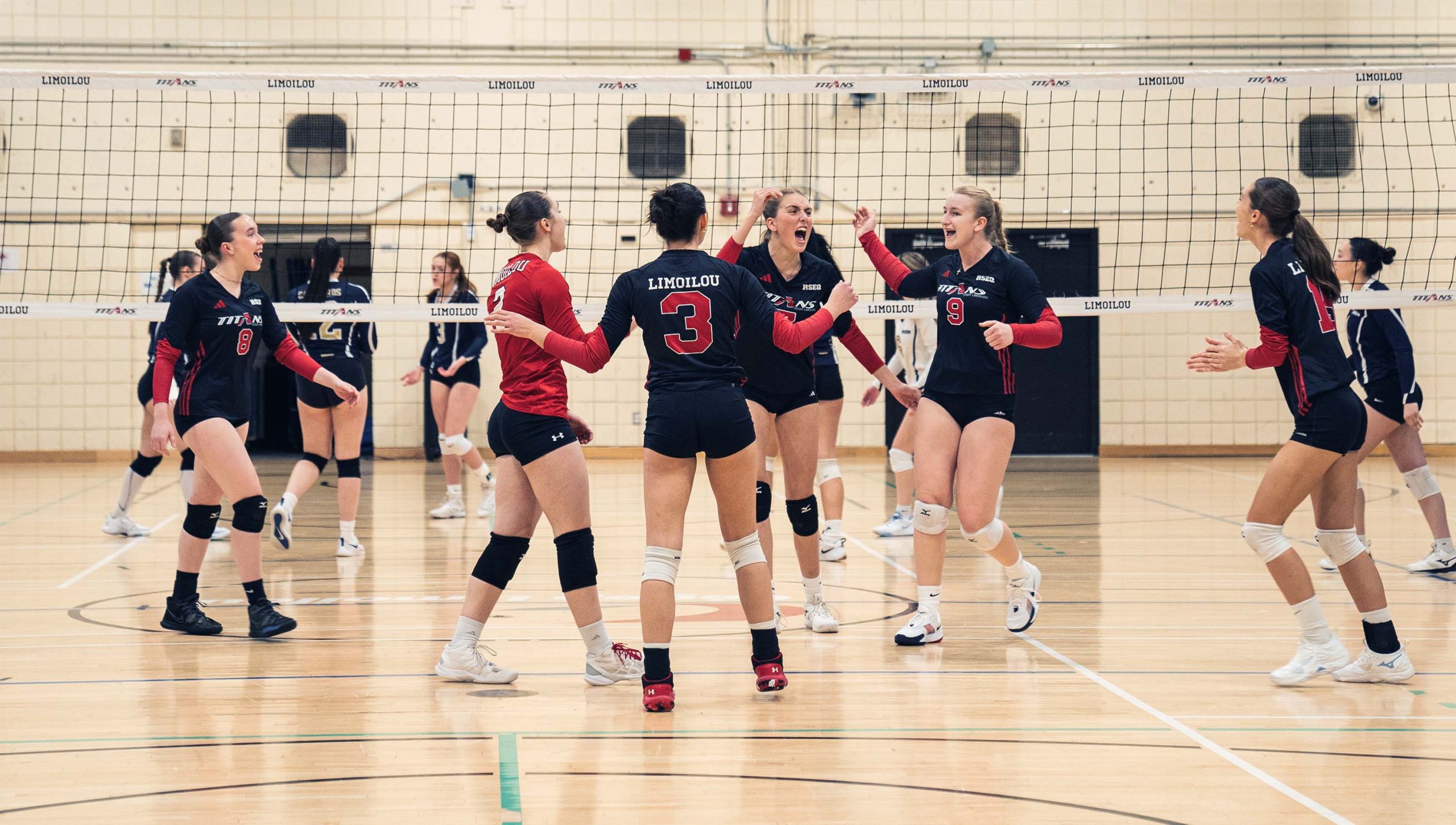 volleyball_feminin_division3_1