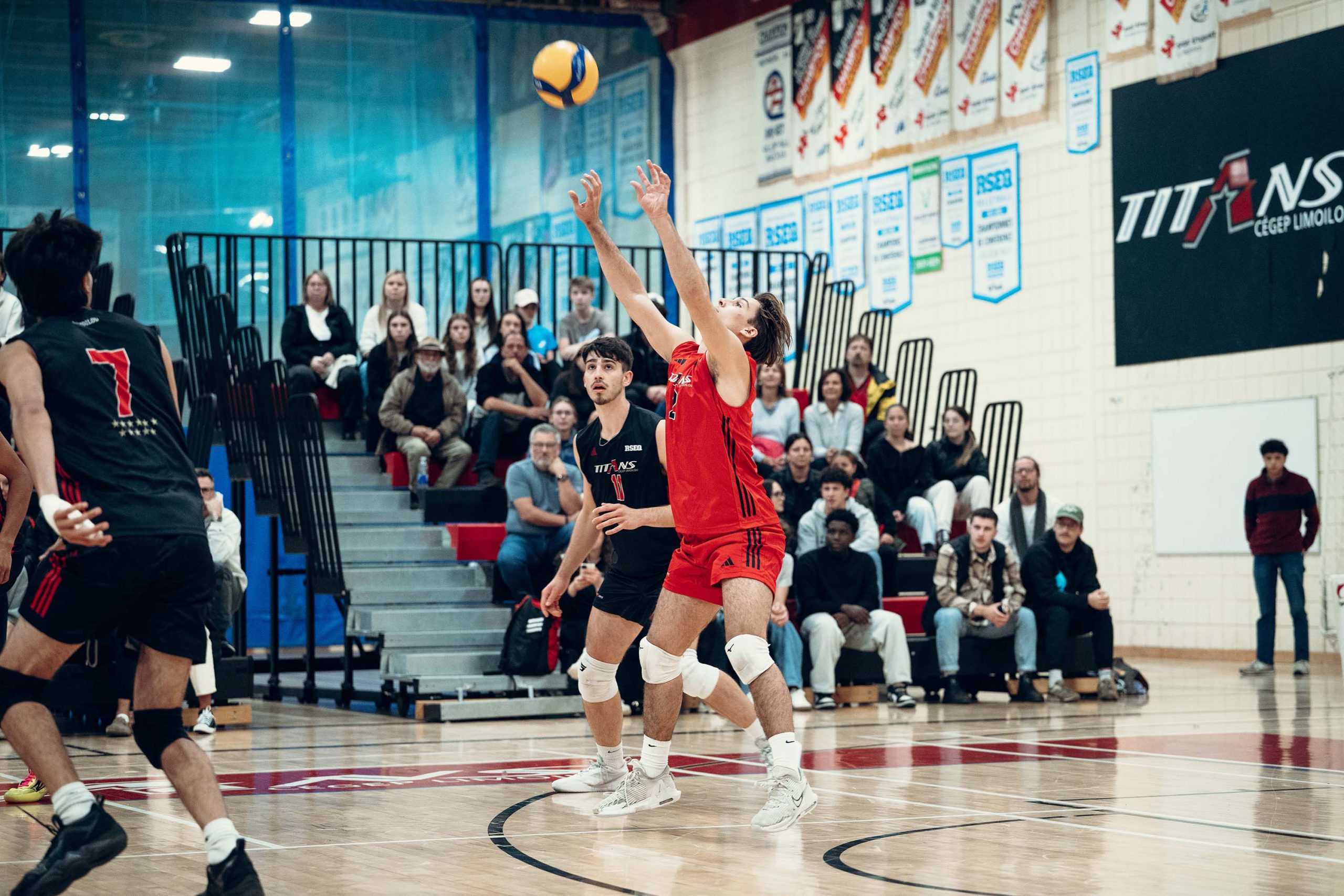 volleyball_masculin_division1_2